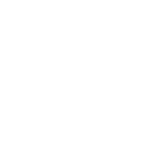 dakinspectie icon
