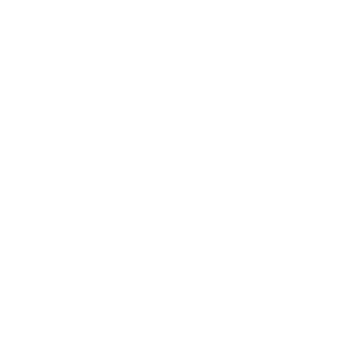 daklekkage icon