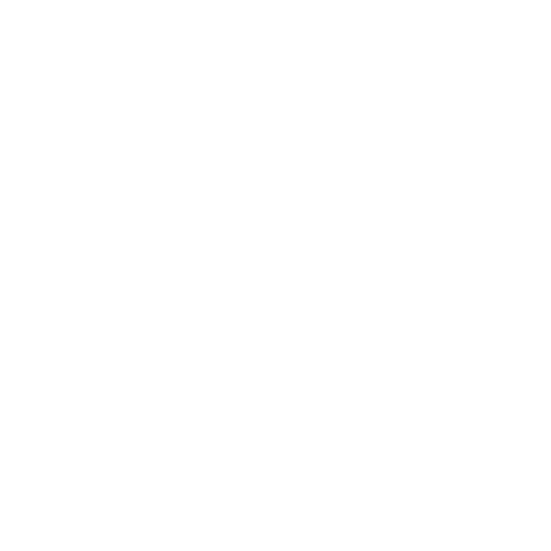 nokvorsten icon